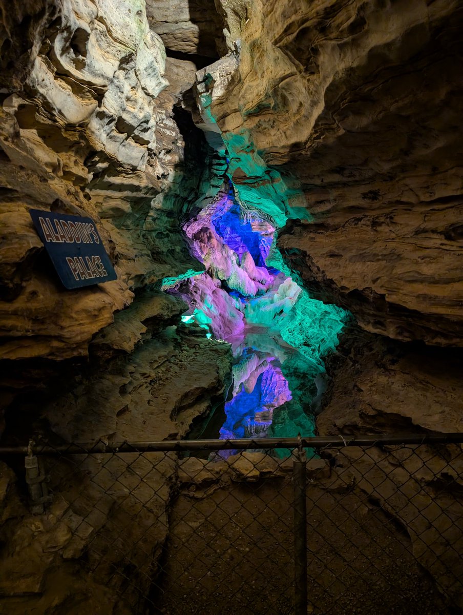 R3dz🌹Dead💀 tweet media