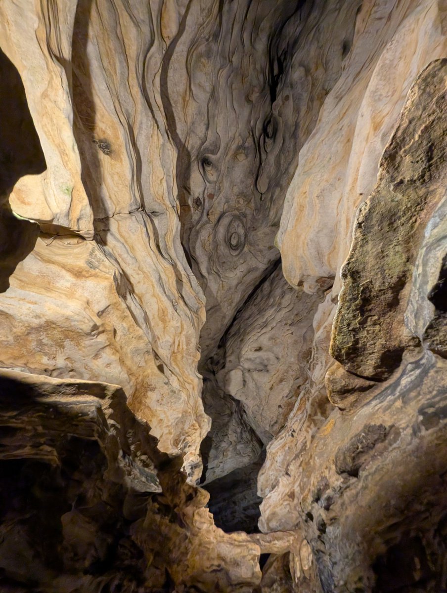 R3dz🌹Dead💀 tweet media