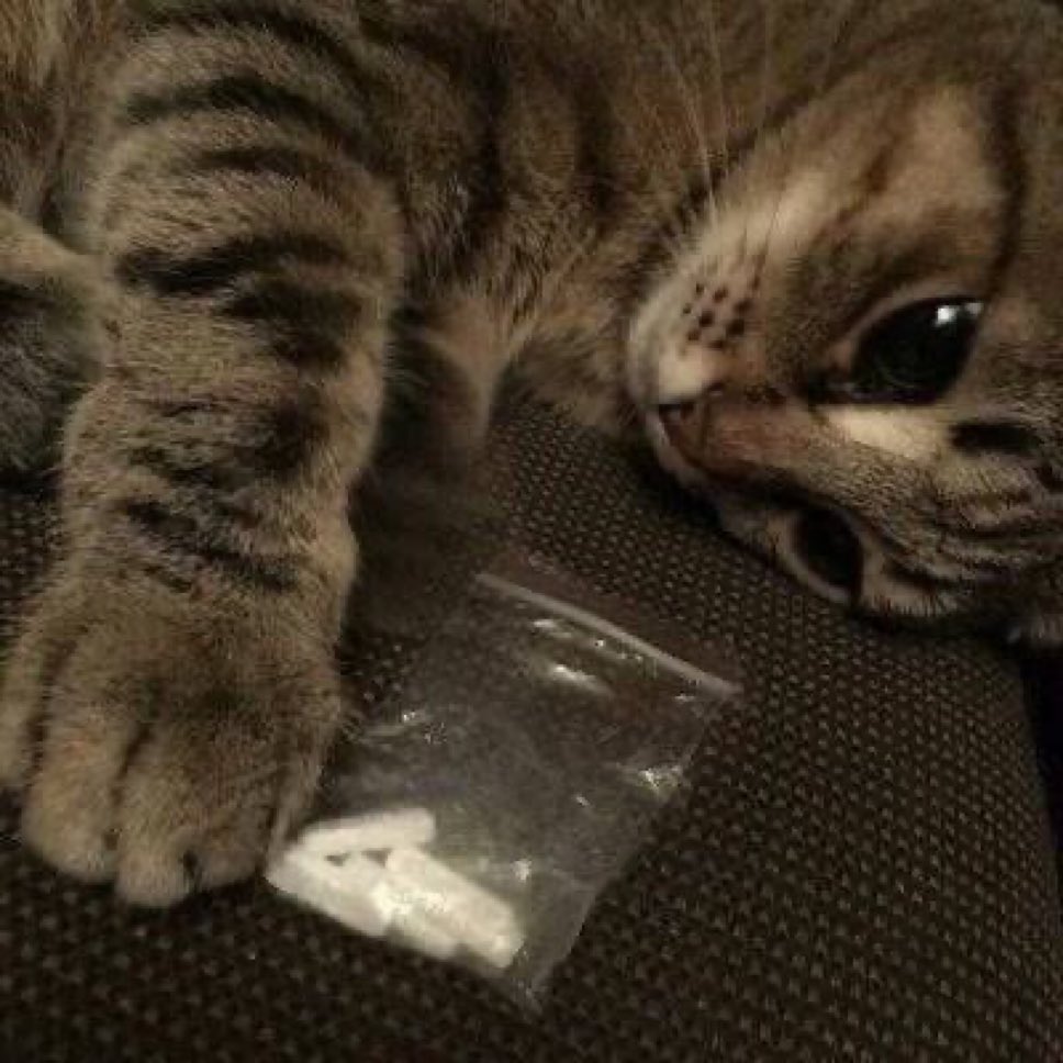 iPhoon(◣w◢) tweet media