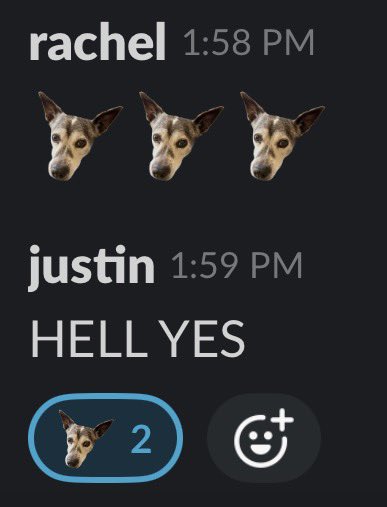 rachel 🪷 tweet media