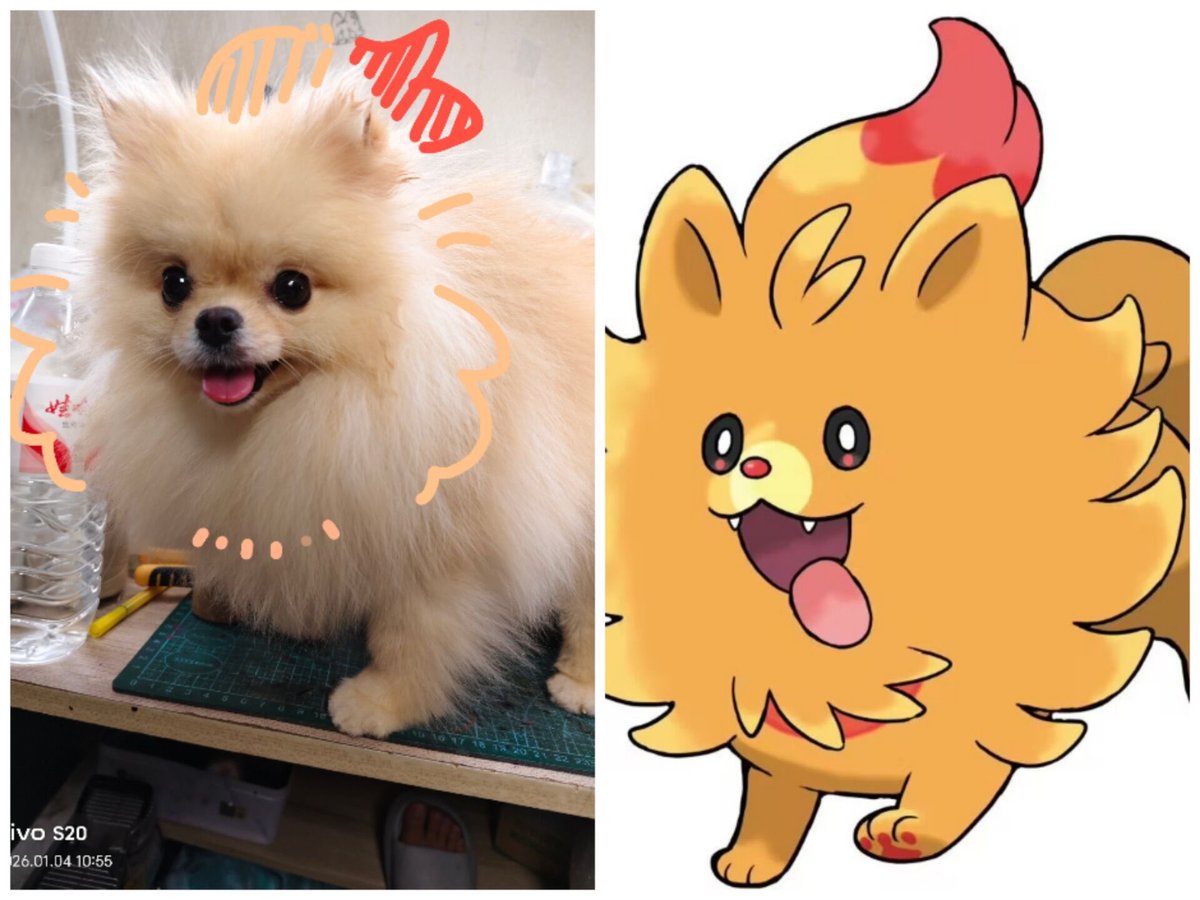 橘狼朗 tweet media