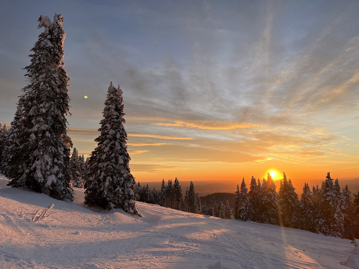 Don Pawluk tweet media