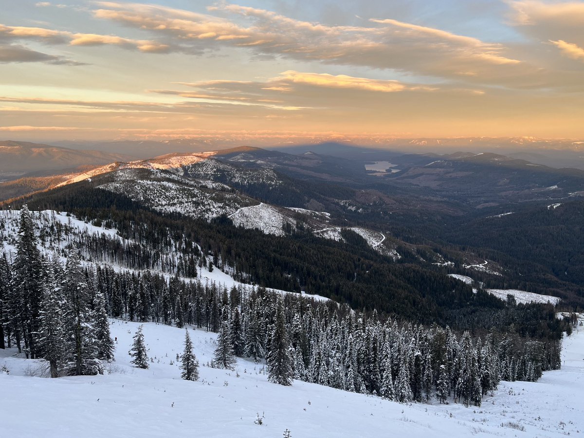 Don Pawluk tweet media