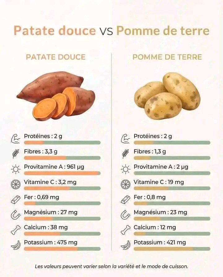 🍠🥔 Patate douce vs Pomme de terre
Souvent comparées, ces deux sources de glucides ont chacune leurs atouts.

Les intégrer intelligemment permet de varier les apports nutritionnels.

🍠 Patate douce  

• 💪 Protéines : autour de 1,5 à 2 g /100 g.  

• 🌾 Fibres : généralement