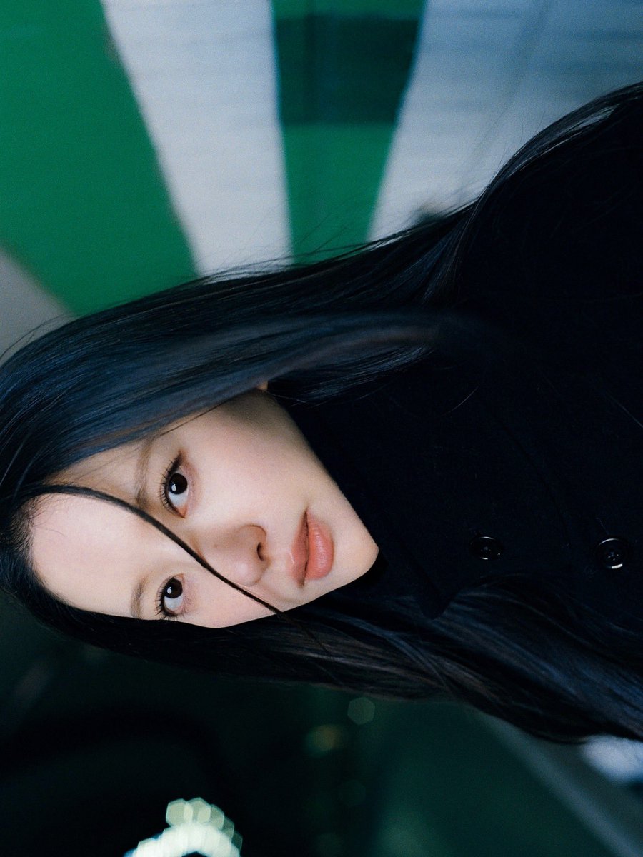 보나 아카이브 tweet media