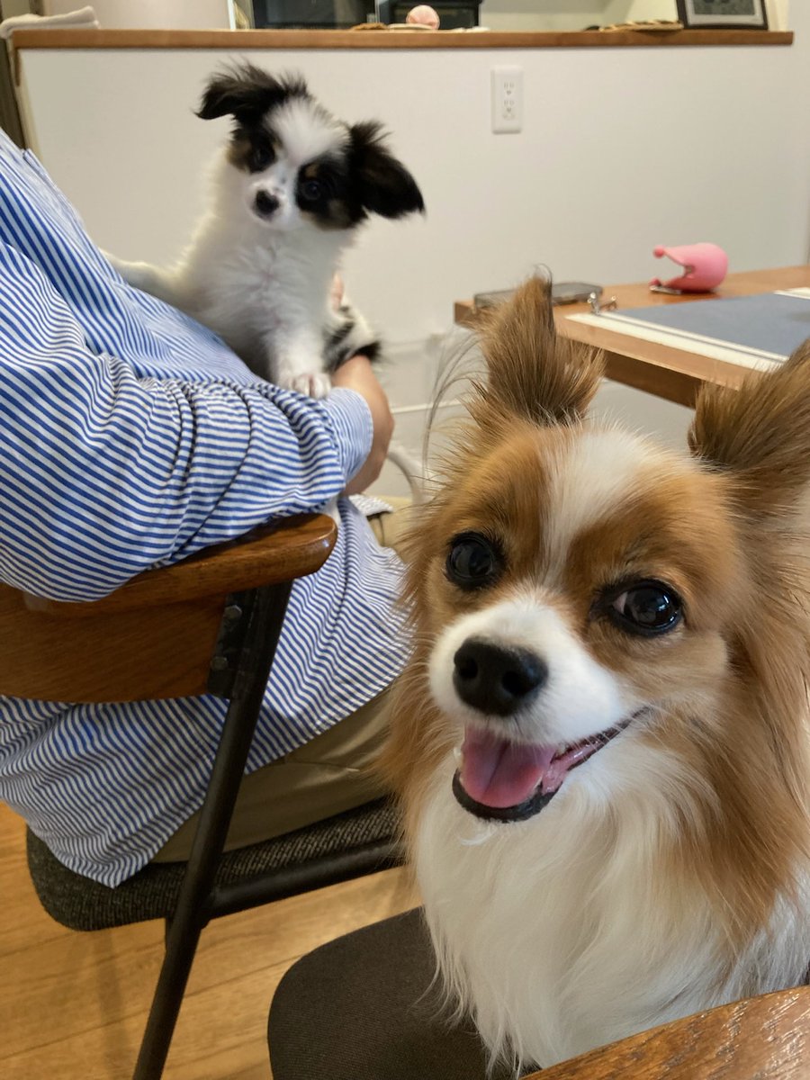 ようやくどちらもカメラ向いてる写真が撮れました！