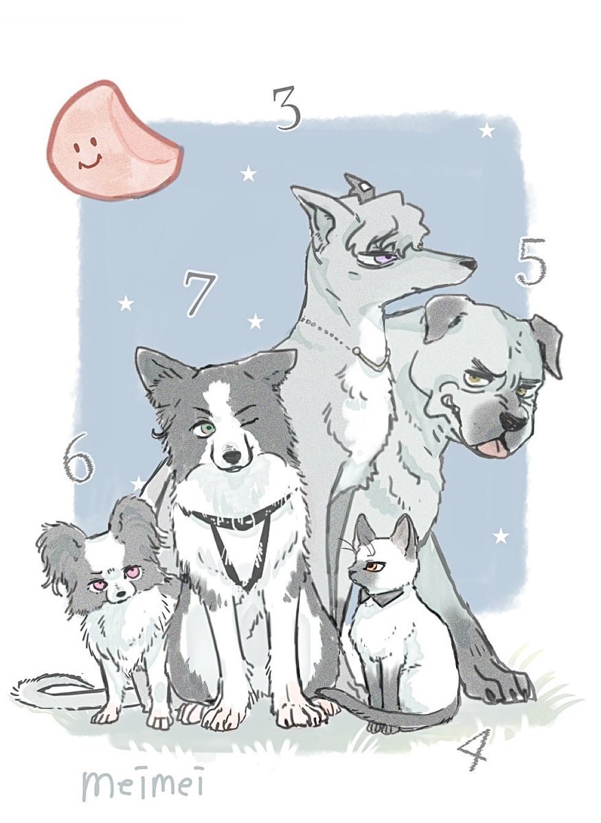 なんていうか⋯イメージ🐶🐱