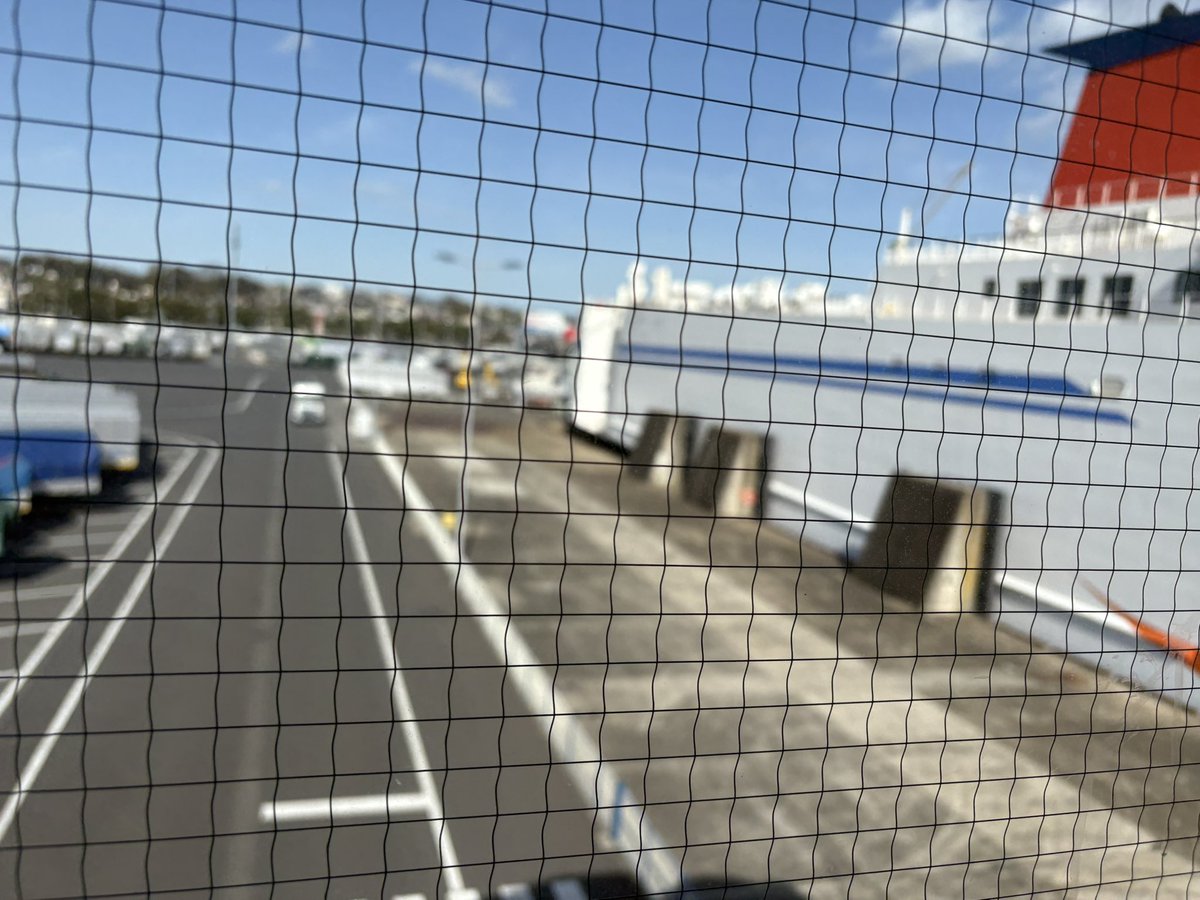 脱北、並びに亡命成功