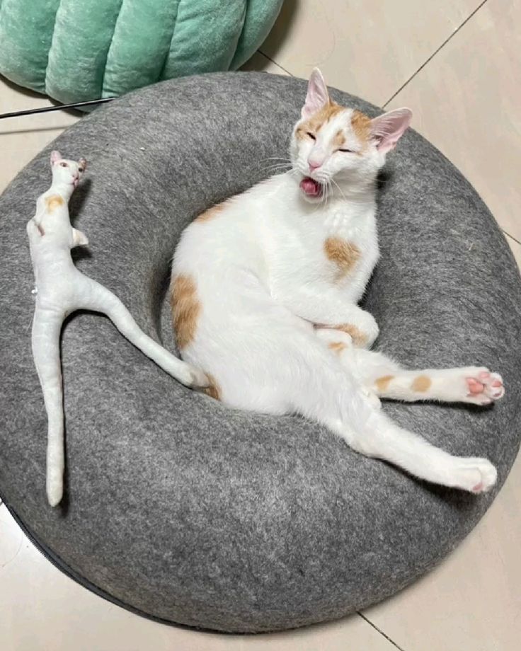 굿즈 만들어줬는데 그렇게 싫어할것까지는 없잖아요