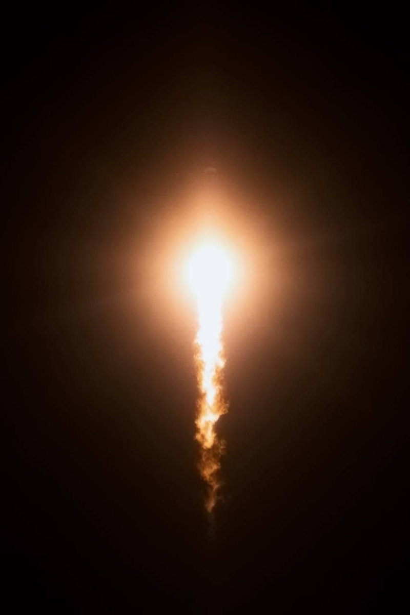 آزاده امینی🟥☫🟩 tweet media