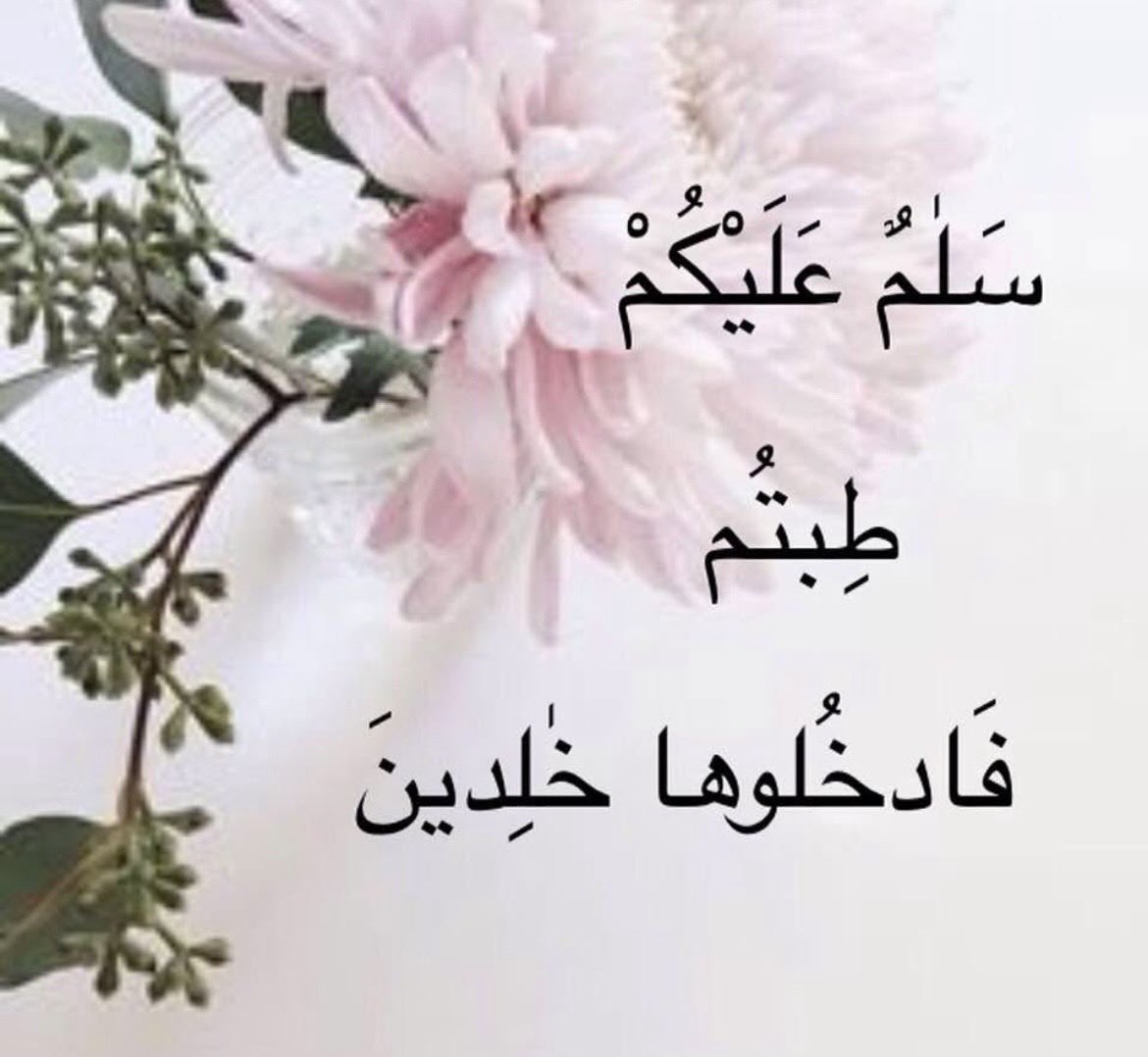 SAID MARIE (@saidmarie57) on Twitter photo 
