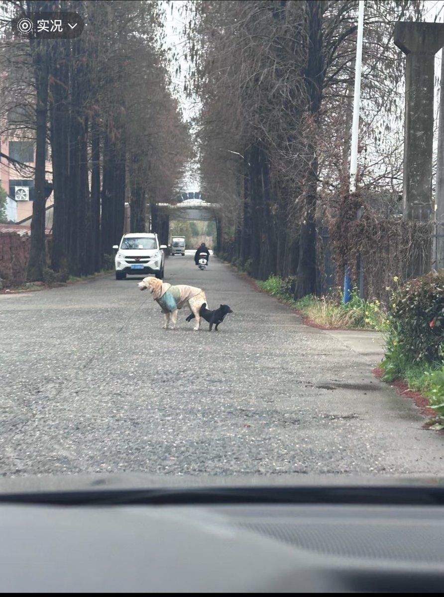 JohnSims tweet media