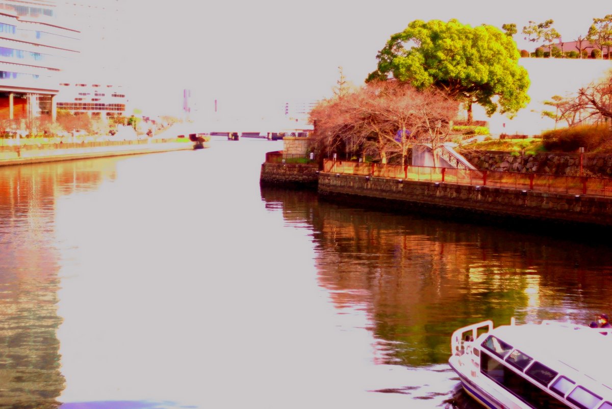 TodoactionJB's tweet image. Just a throwback, but trust my content game’s still strong. 
PENTAX k-m &amp;amp; RICOH XR RIKENON 50mm F2 
#streetphotography #km #throwback 7