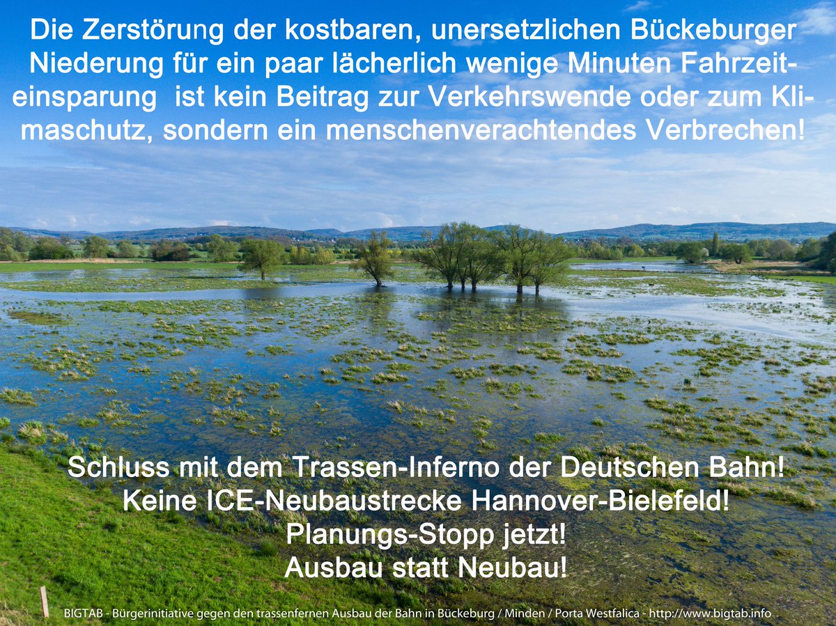 Bigtab e.V. tweet media