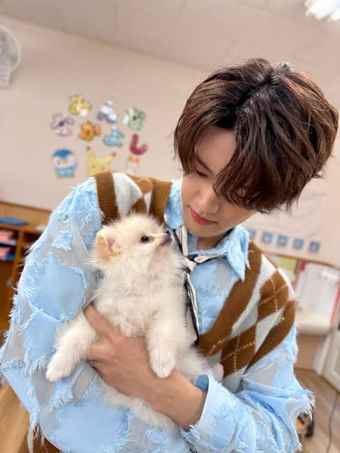 髙塚大夢さん×動物たちほんとに可愛いので月刊わんこさんよろしく