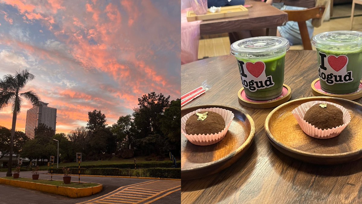 chia 🍮 tweet media