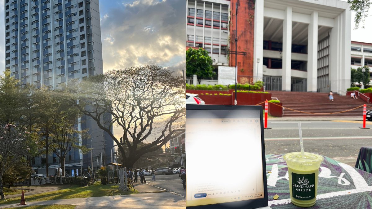 chia 🍮 tweet media