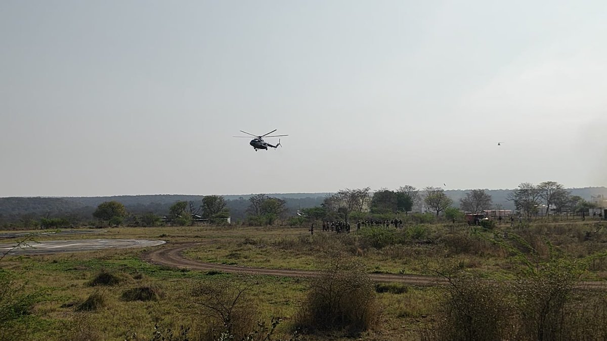 Cheetahs have reached Kuno National Park from Botswana. 
#kuno #cheetah