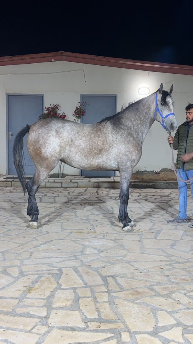 سالم العتيبي tweet media