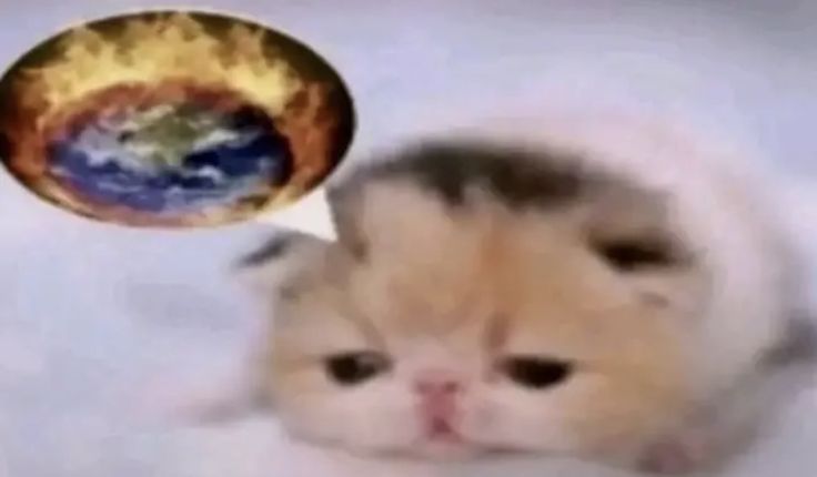 Oficialmente tengo 18 años, entre en decadencia 🦅🔥🔥🔥