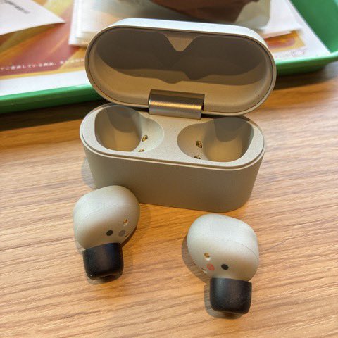 WF-1000XM6購入！しかしイヤーピースのMが左にしか付いていないという