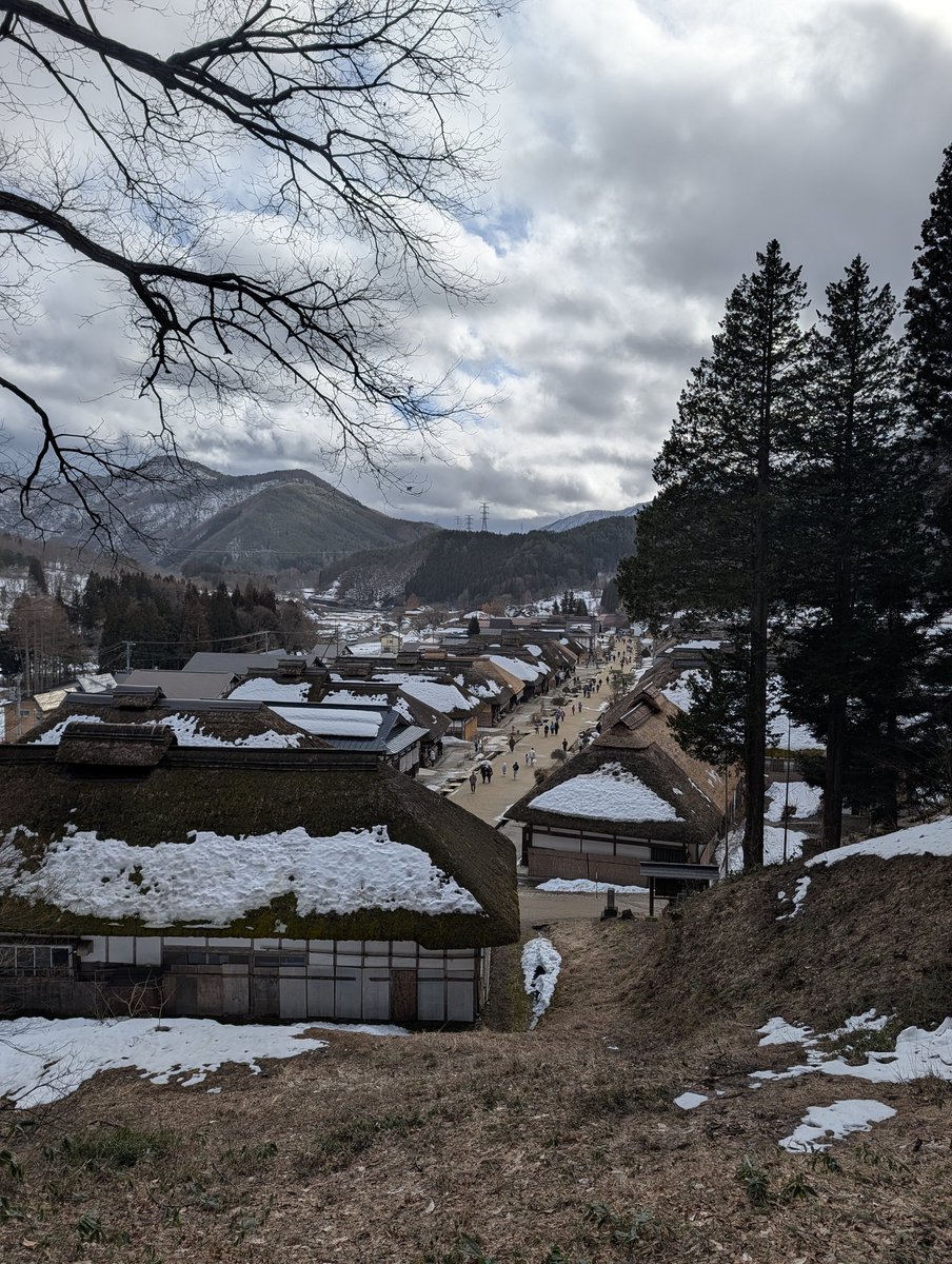 のりりん (@tiny_seed) / Posts / X