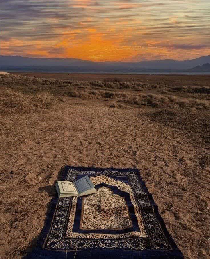 وفـ۳۱۳ـــا ☫🌹 tweet media