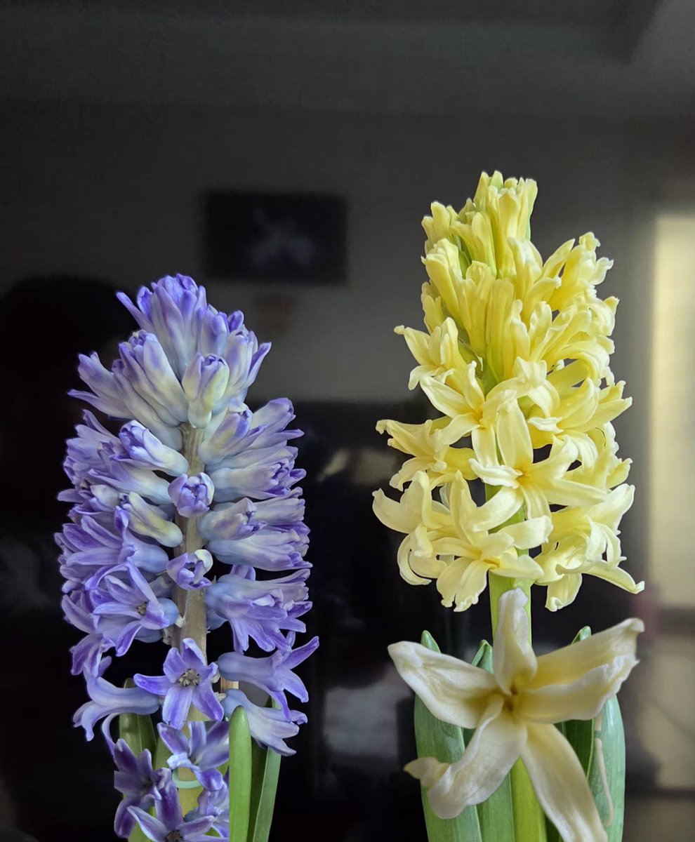 무명인들의 함성
감격스러움을 넘어
자랑스러움이 더한다
이름이 아닌 마음을 걸었음을
역사는 말한다
완장 찬 이들 숫자의 우위에
급발진 성공은 순간이요
길이 남는 이름은
후세들이 말할 뿐이다
연휴 삼일간
삼일절을 느꼈으면 한다
영월의 어느 곳
난리 난 시간처럼...
#삼일절 #어느사이 #역사