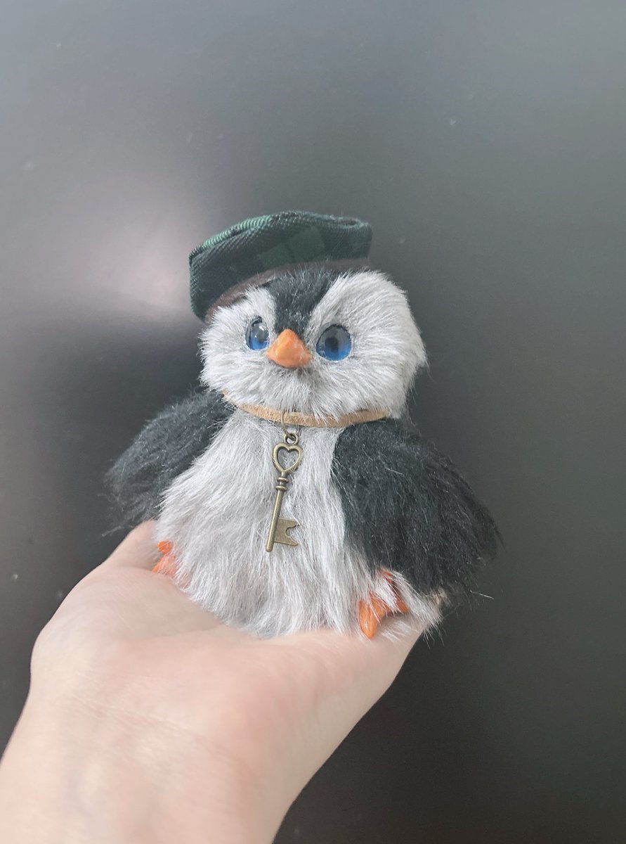 Post by noaの小さな妖精 on X: 次の子ちらり🐧