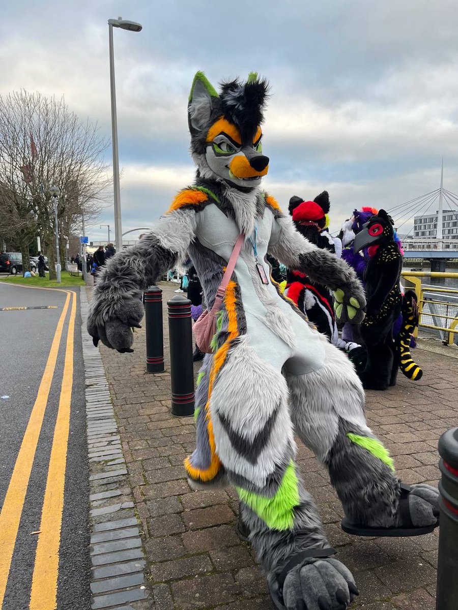 Lepton 🐺 🔜 Animalz tweet media