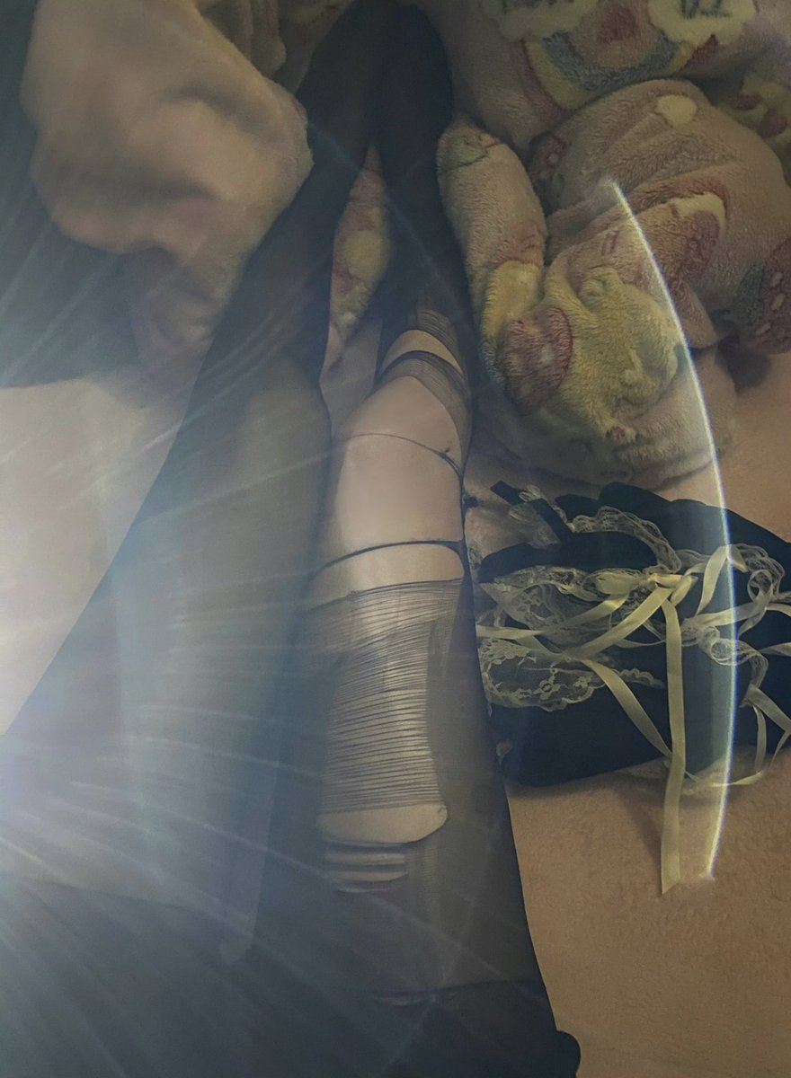 宝宝呆 tweet media