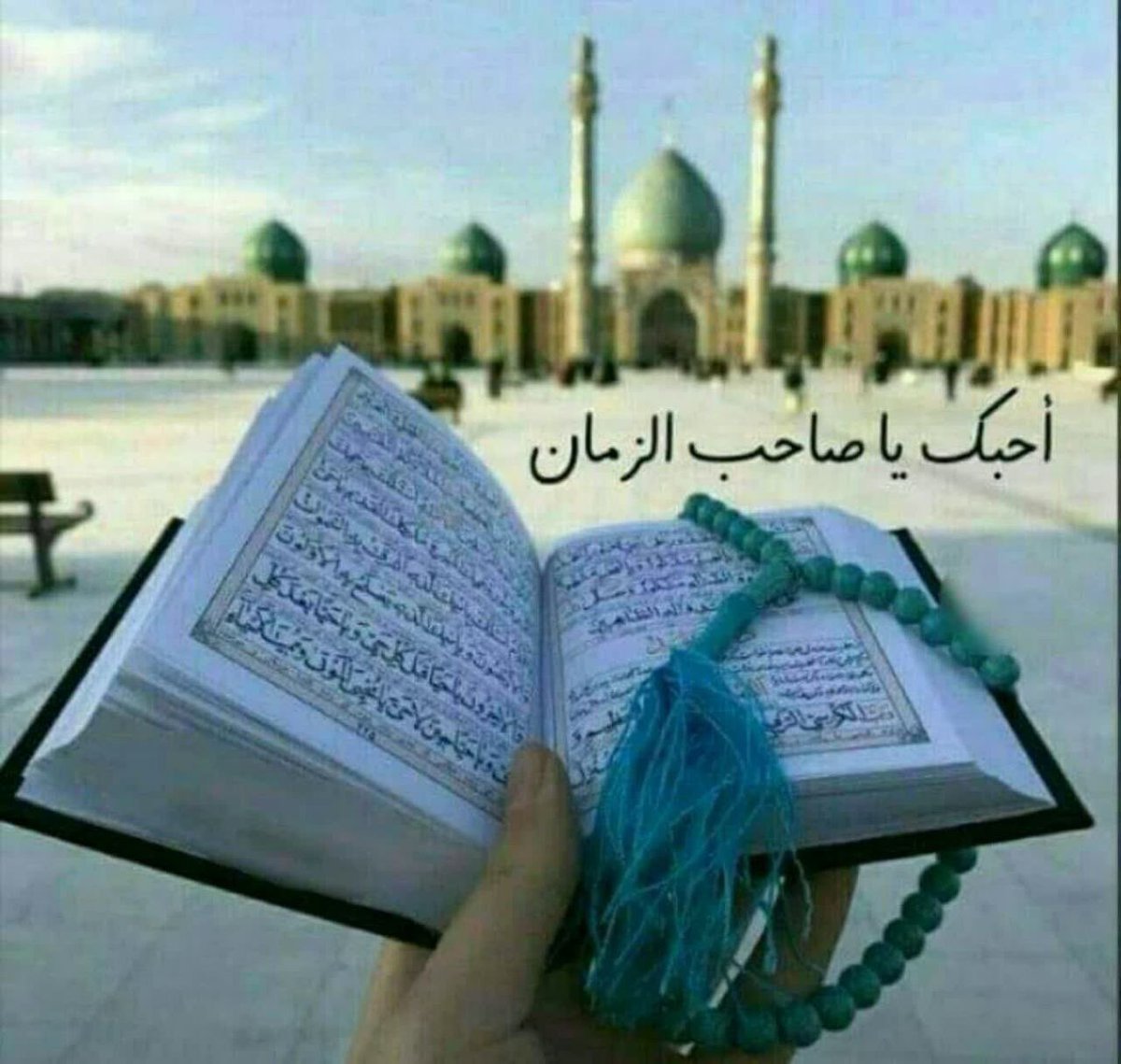 mahdi.kz tweet media
