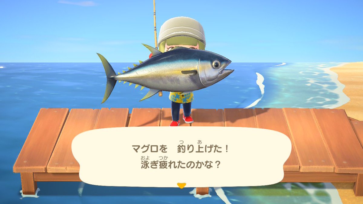 imu0922's tweet photo. 約1分でレア魚三匹つれてあまりにもイージー https://t.co/4HXVU8Alrc