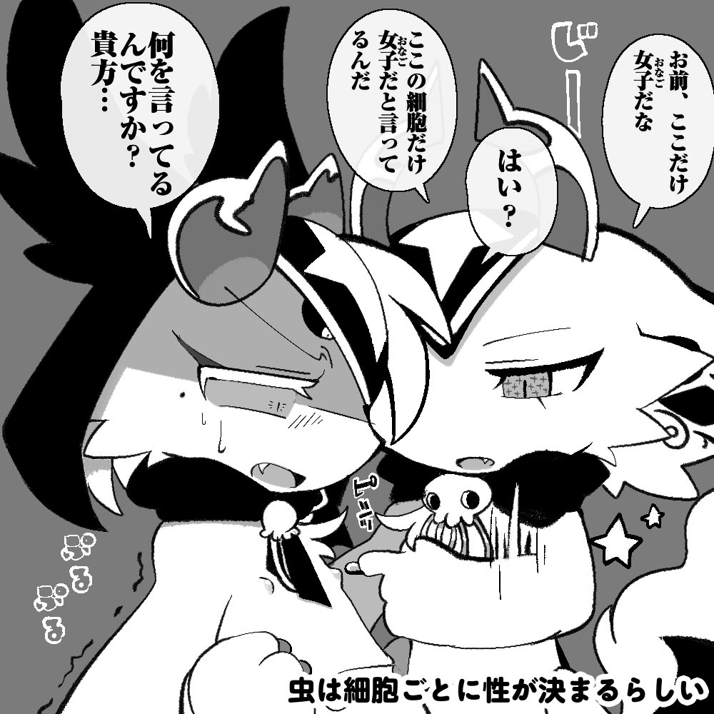 💢釈迦力♨ tweet media