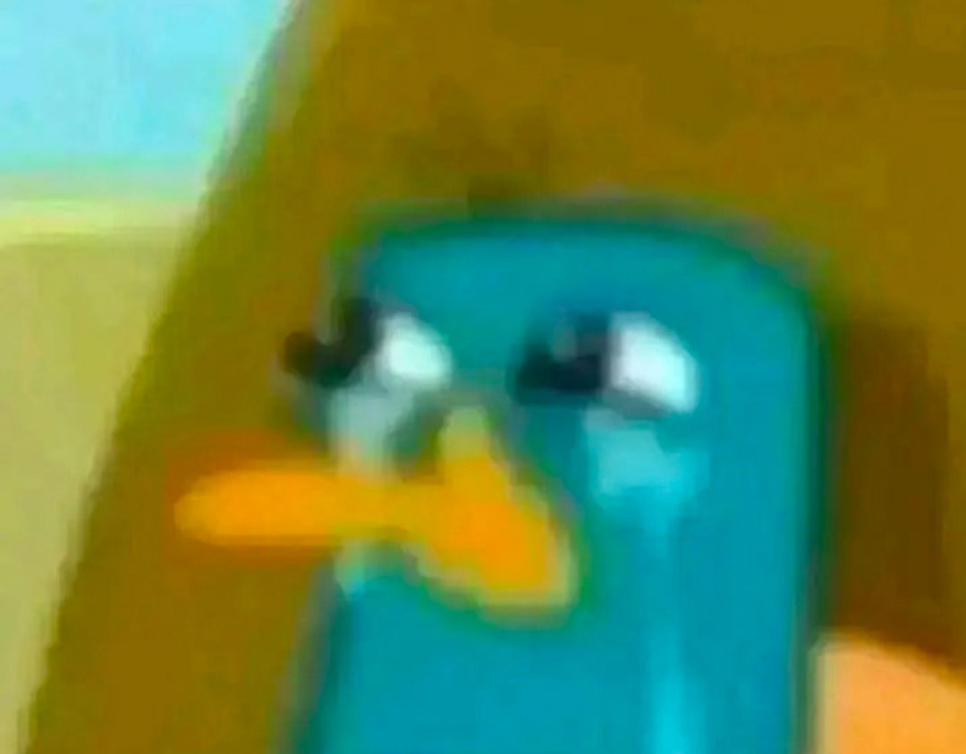 Danclipse🌱 tweet media