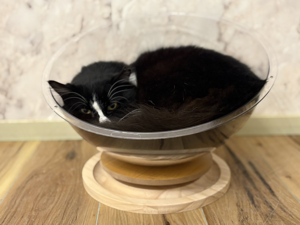 あさひ tweet media