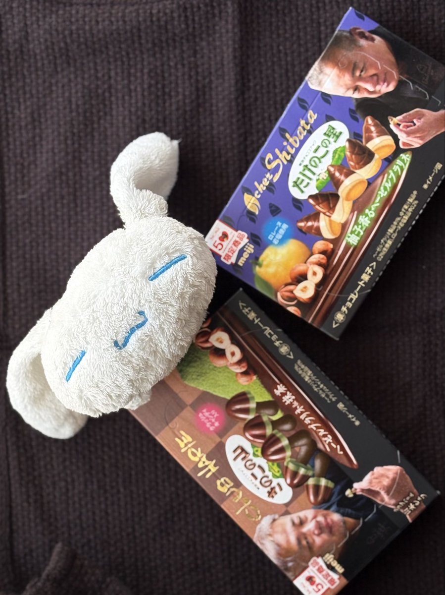 これは今日のおやつはどっちにするか悩むシナモン