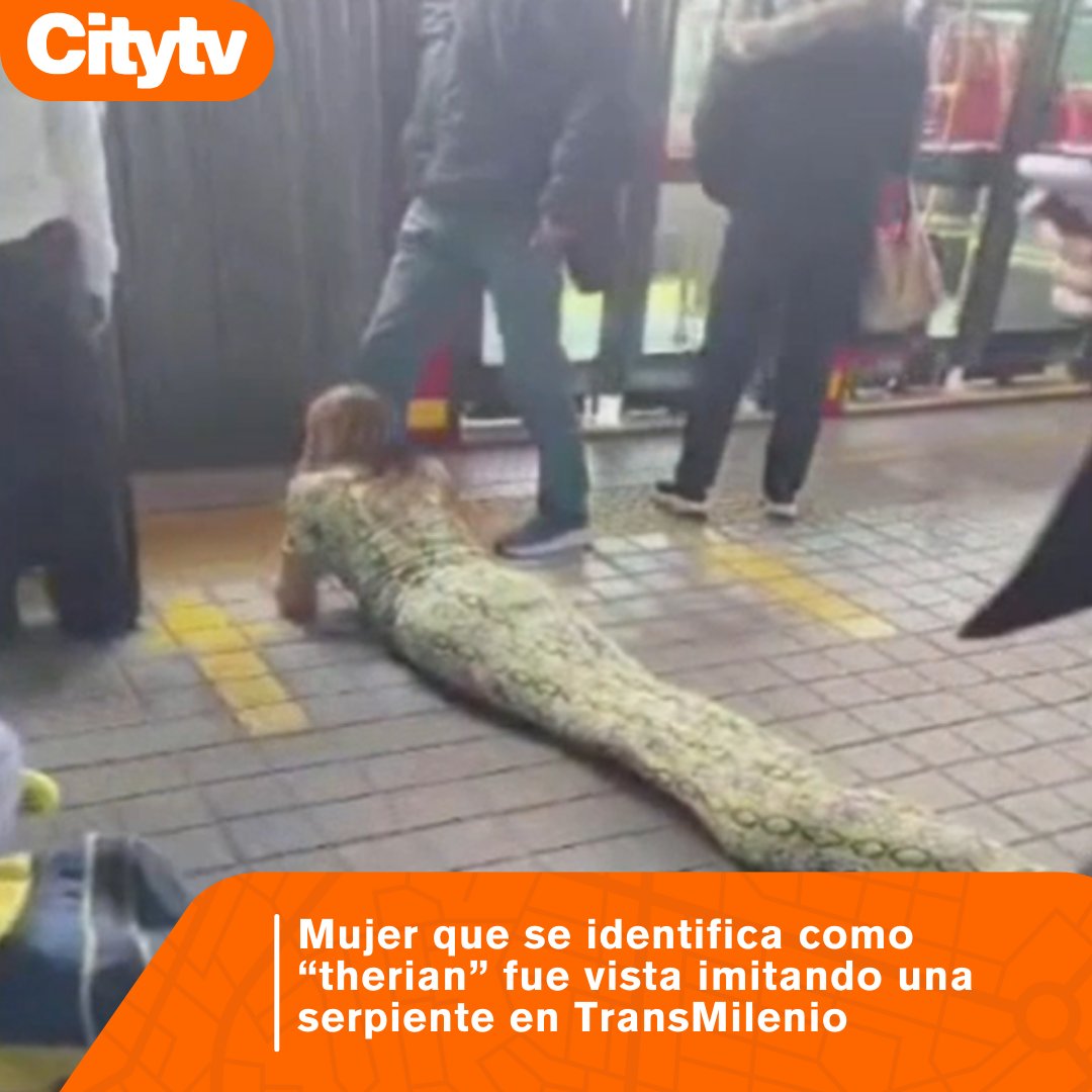 Canal Citytv tweet media