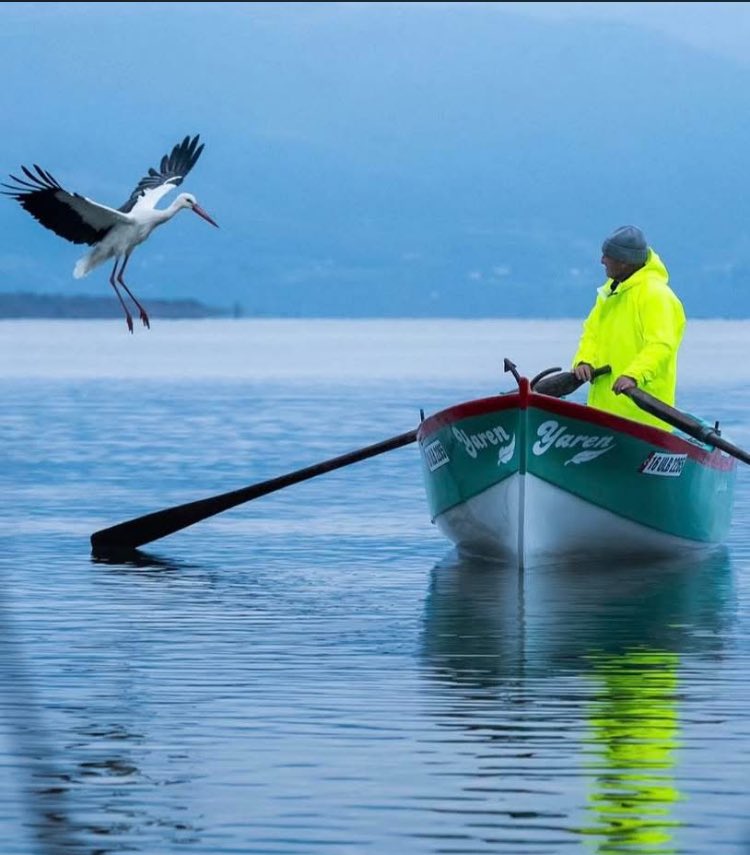 #YaşarKemal
#güllü 
#CUMARTESİ 
Hoş geldin! Biz bıraktığın gibiyiz. 
Ustalaştık biraz daha taşı kırmakta, 
Dostu düşmandan ayırmakta.

-- Nâzım Hikmet
