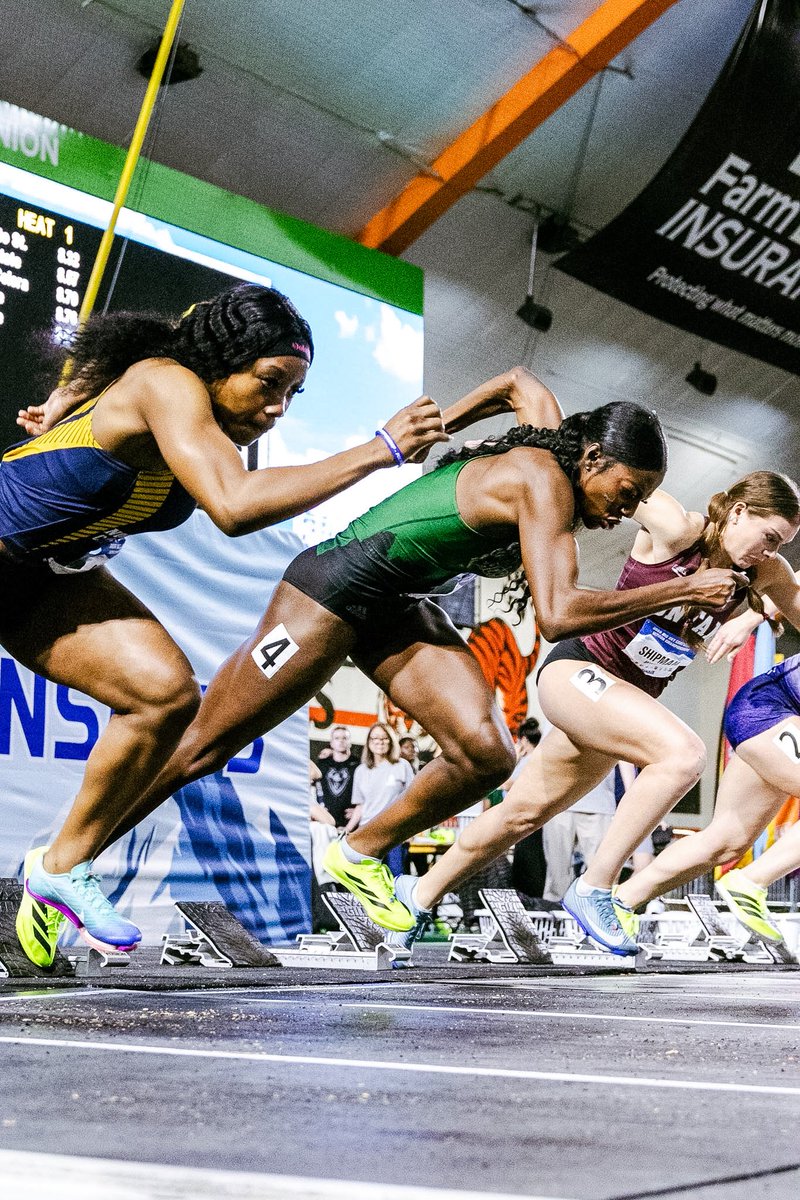 SacStTrackandField tweet media