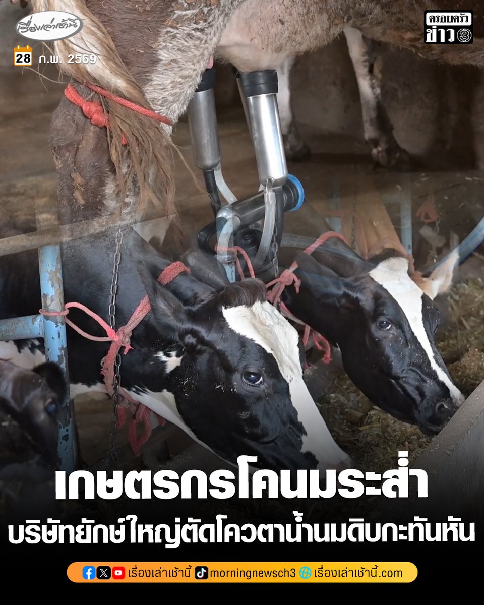 ระส่ำ! เกษตรกรโคนมราชบุรีกว่า 80 รายช็อก บริษัทยักษ์ใหญ่ตัดโควตาน้ำนมดิบไม่ทันตั้งตัว เสี่ยงเททิ้งวันละหลายตัน จี้ภาครัฐเร่งแก้ปัญหา

อ่านข่าว : ch3plus.com/news/social/mo…

#เรื่องเล่าเช้านี้ #ครอบครัวข่าว3 #ข่าวภูมิภาค