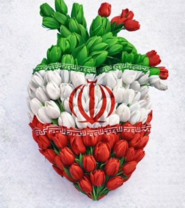 mahdi mohammadi tweet media