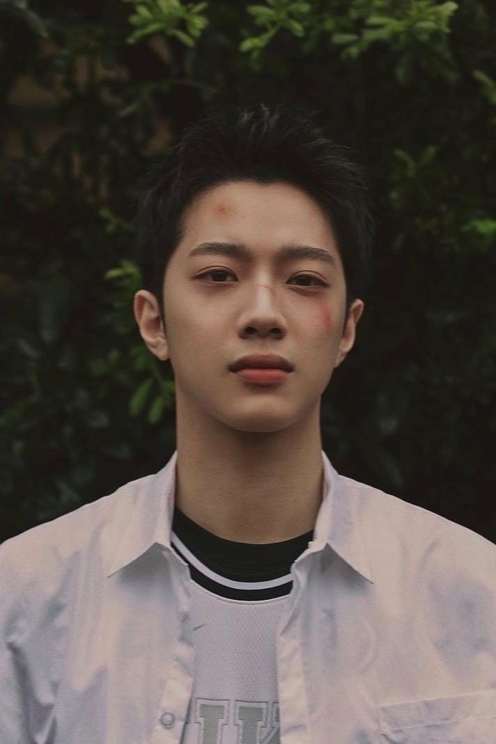 meizhí || inactive 📚 tweet media