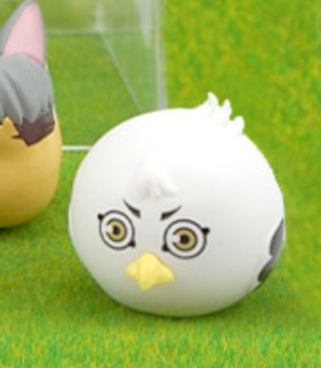 양말털이 tweet media