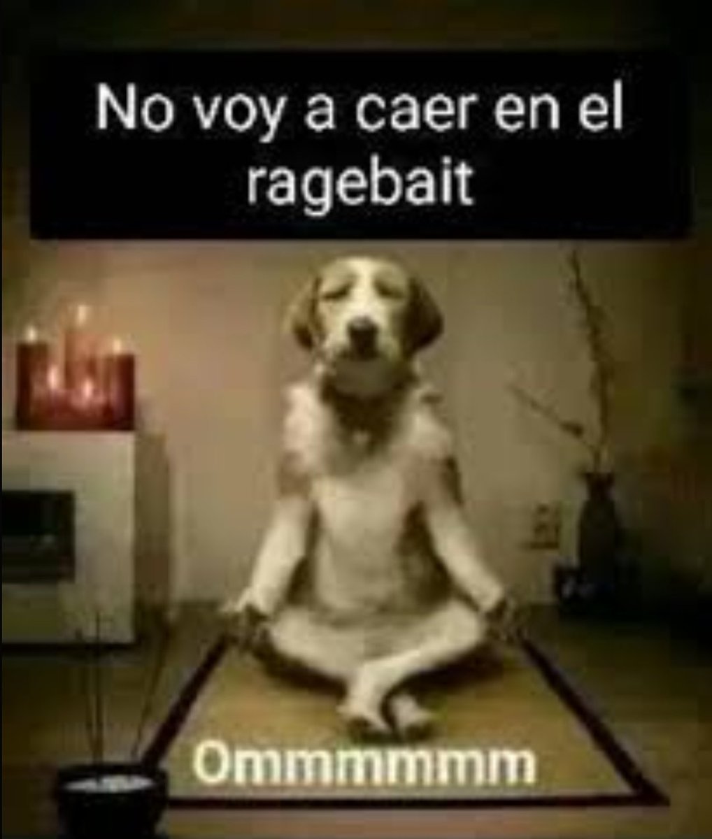 ExplicaFarfa tweet media