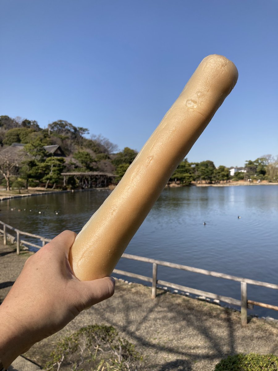to_rain_swallow's tweet photo. 横浜にある三溪園の売店で売っている鯉の餌がめっちゃ長いんですよ。
なので長いまま持って水面に近づけると鯉が直接食べに来る。
ミシミシ齧られてる感覚が手に伝わってくるし恐怖映像が撮れるよ！
#三溪園 #鯉 https://t.co/FJEIqoObBX