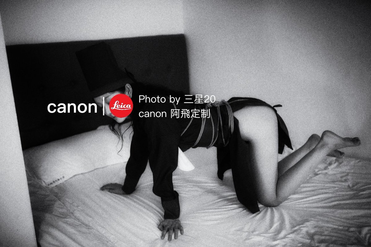 阿飞 tweet media