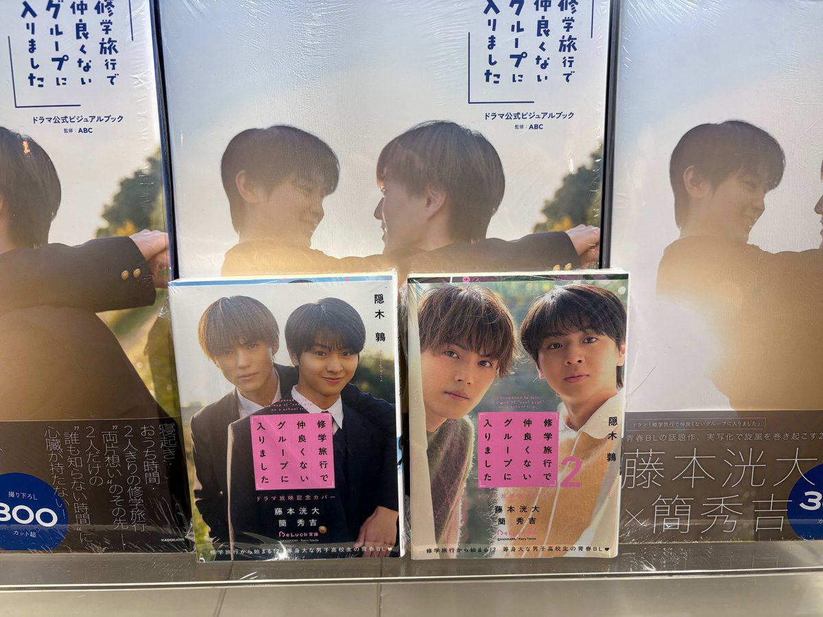6F BL】?本日入荷?『修学旅行で仲良くないグループに入りました 