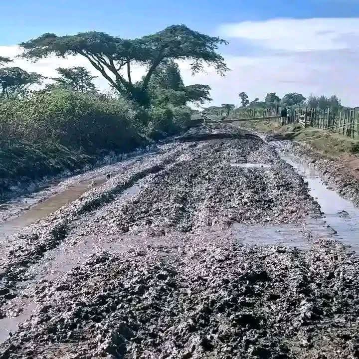 TWOTAM 

Weuh 🤣 🤣 🤣