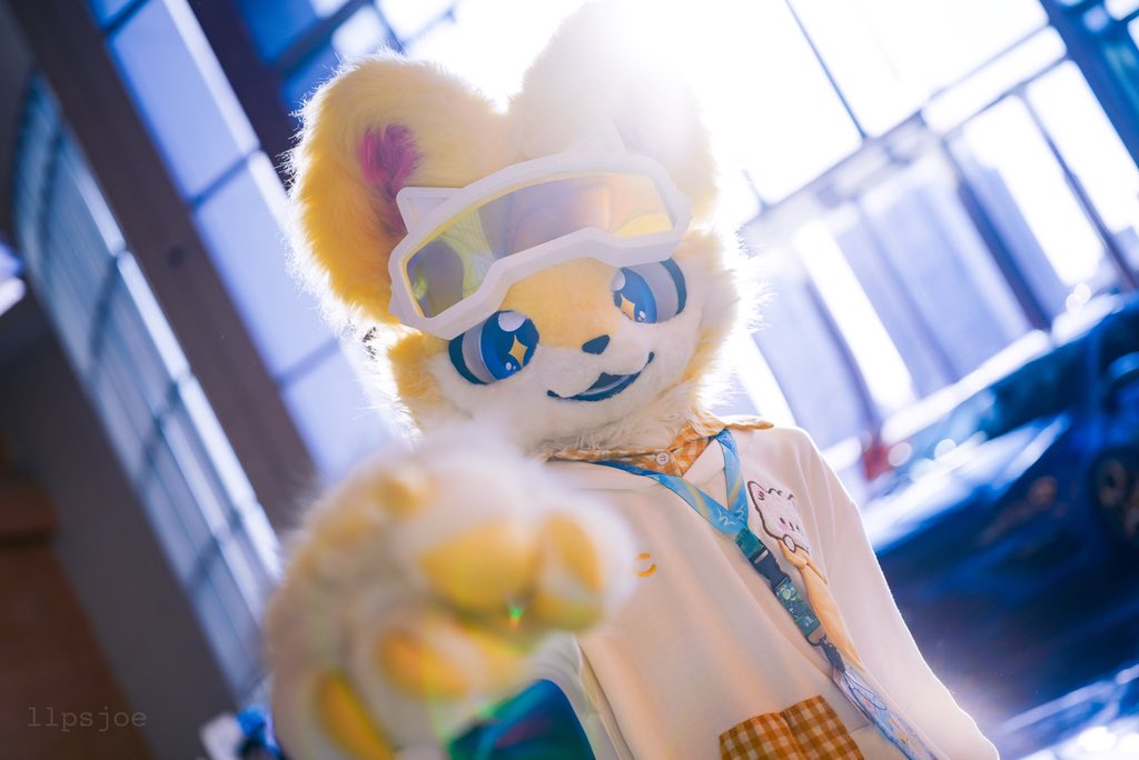 XingkaiStar's tweet photo. 冬日暖陽
📷：@llpsjoe https://t.co/zNJrbnxShM